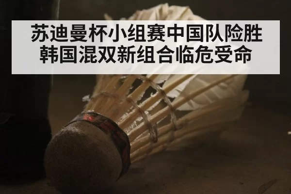 苏迪曼杯小组赛中国队险胜韩国混双新组合临危受命