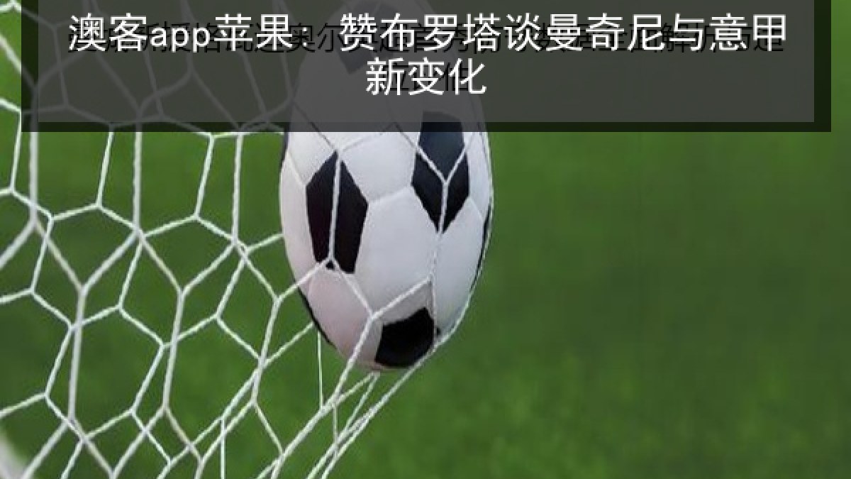 澳客app苹果: 赞布罗塔谈曼奇尼与意甲新变化